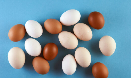 egg with different color shades against blue background
