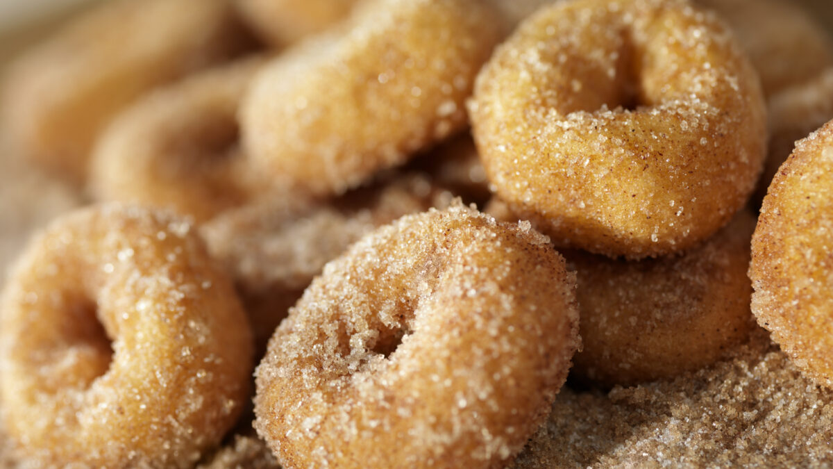 Cinnamon and Sugar Mini Donuts-Photographed on Hasselblad H3D2-39mb Camera