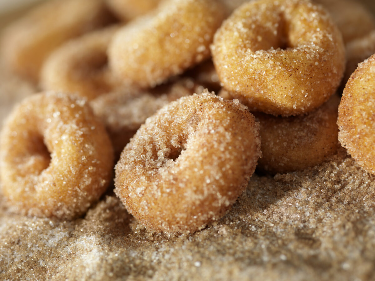 Cinnamon and Sugar Mini Donuts-Photographed on Hasselblad H3D2-39mb Camera