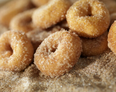 Cinnamon and Sugar Mini Donuts-Photographed on Hasselblad H3D2-39mb Camera
