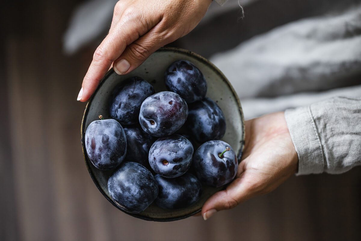 Close-up of woman hands holding blow of plums. Female with fresh plums in hands.