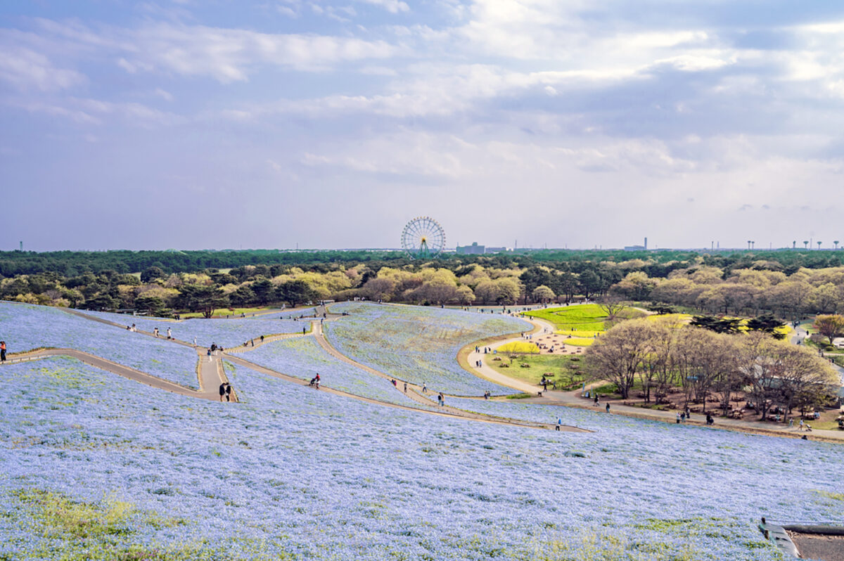 View of Ibaraki Prefecture, Japan