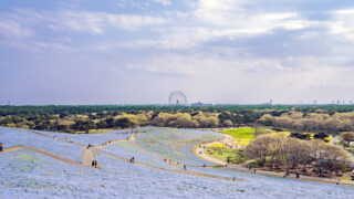 View of Ibaraki Prefecture, Japan