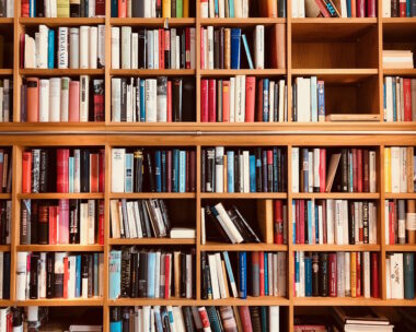 Brown wooden shelfs fully packed with books in a library