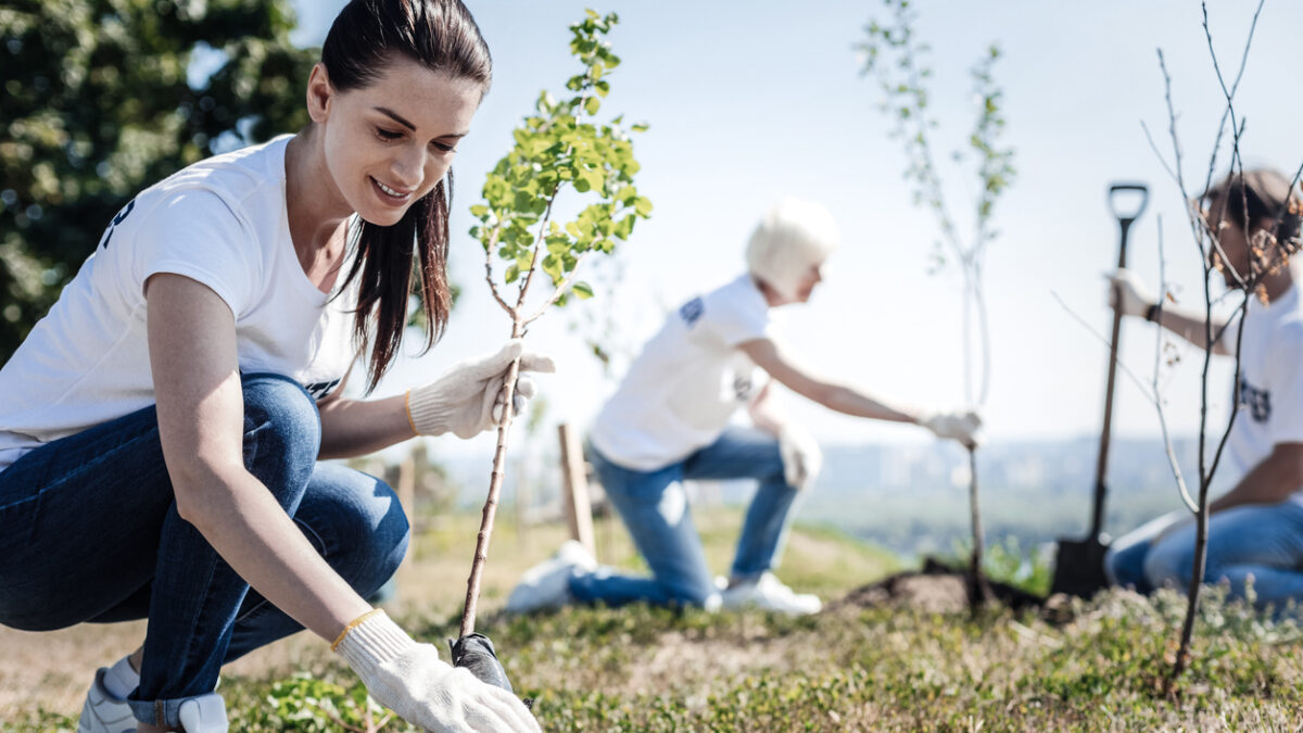 Eco protection. Nice young attractive woman wearing gloves and holing a tree while intending to plant it