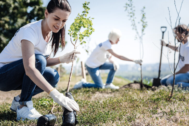 Eco protection. Nice young attractive woman wearing gloves and holing a tree while intending to plant it
