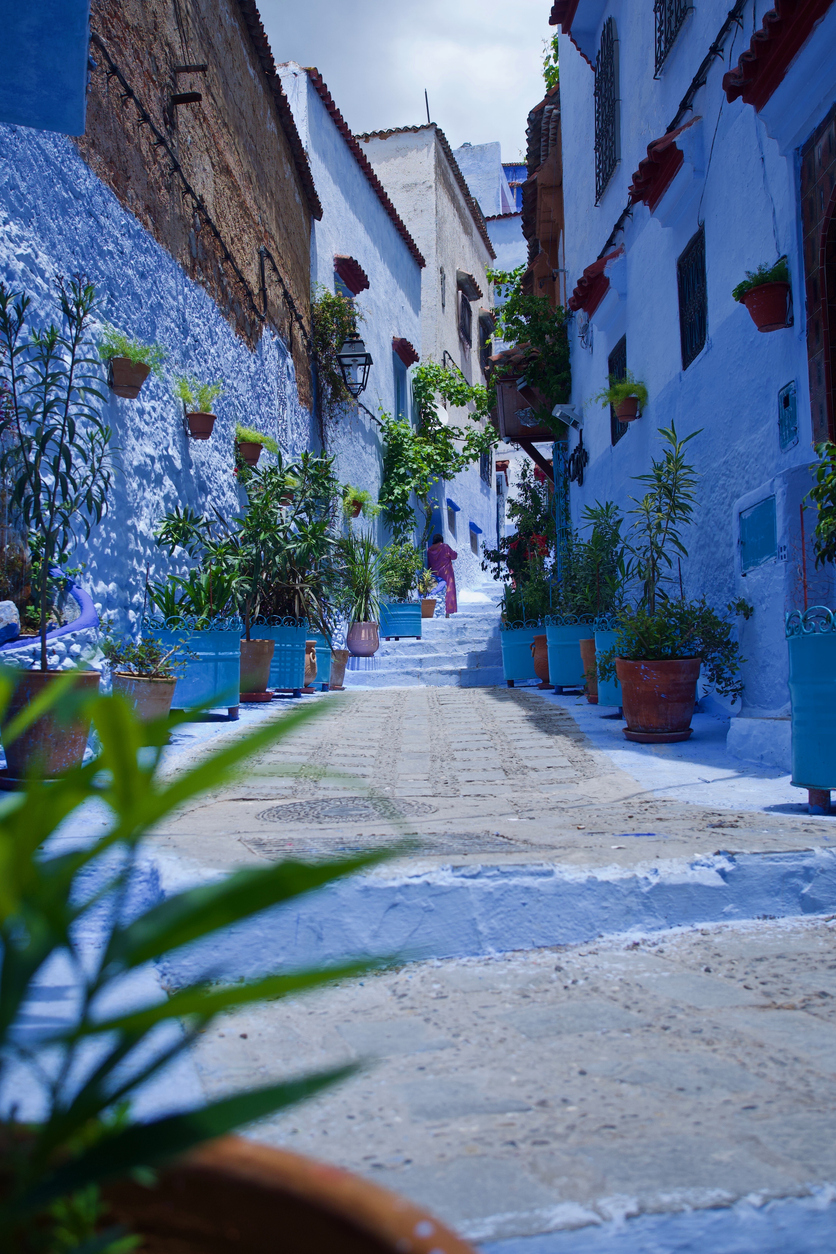 I did a journey in Morocco to see the stunning city of Chefchaouen