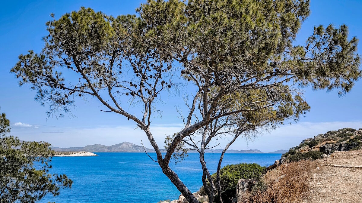 Θάλασσα