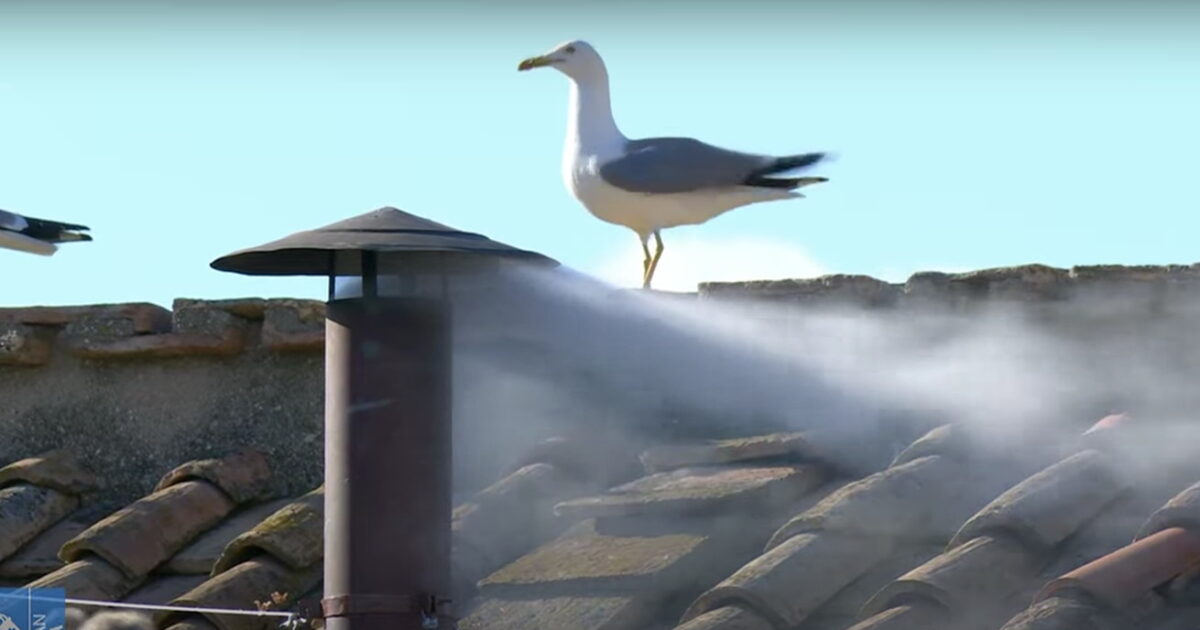 Conclave has elected a new pope – white smoke from the chimney of Sistina Hat