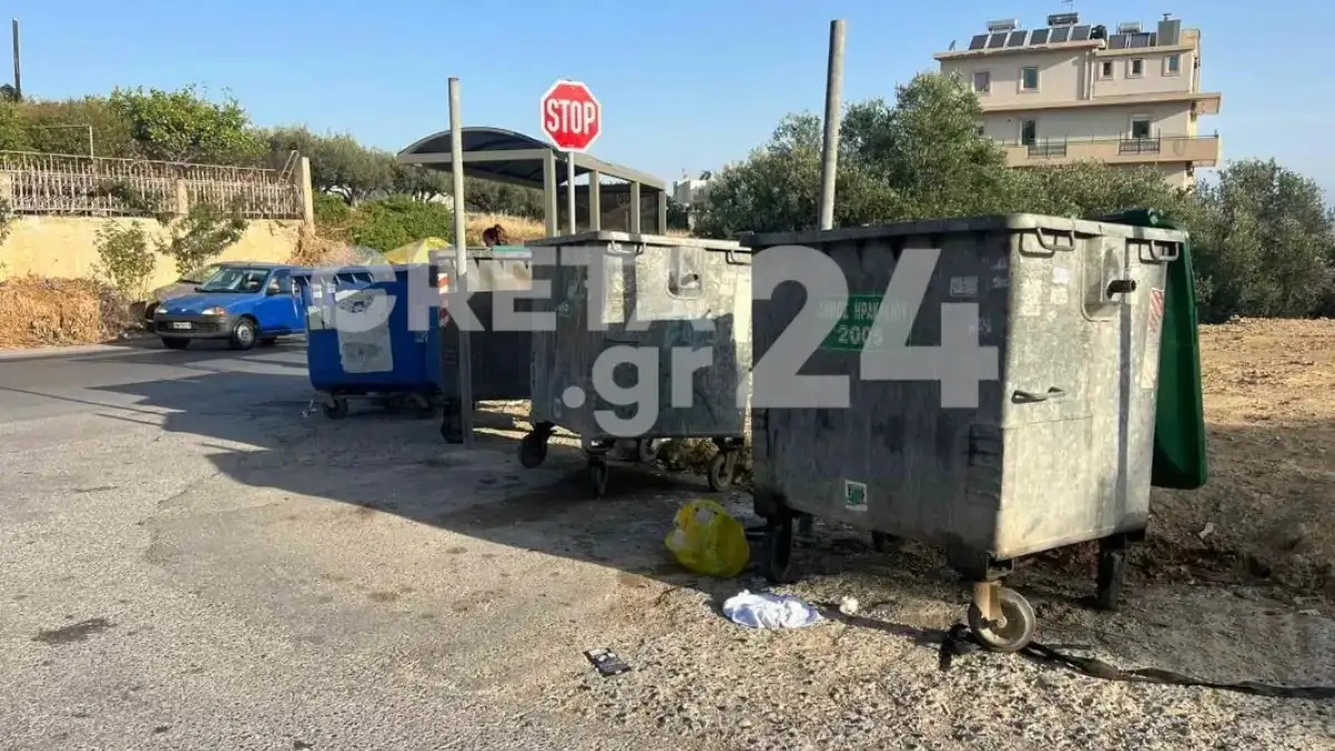 Ο κάδος στον οποίο βρέθηκε το βρέφος