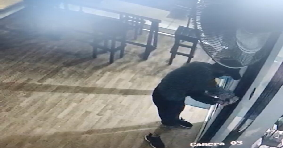 Robber with 6 names and “rich” past grabbed from bank cards to cage with parrot – video documentary with his action