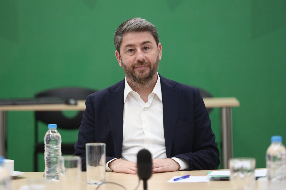 Ο Νίκος Ανδρουλάκης
