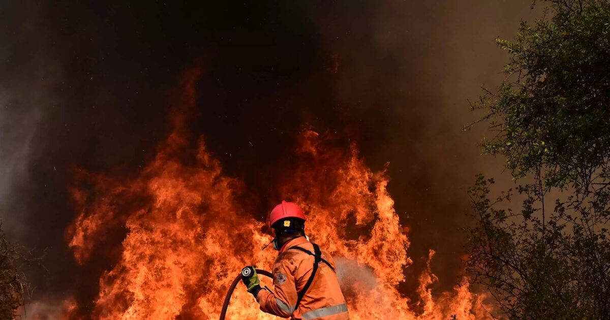 Fire in Sitia – Houses were in danger, immediate intervention by fire brigade