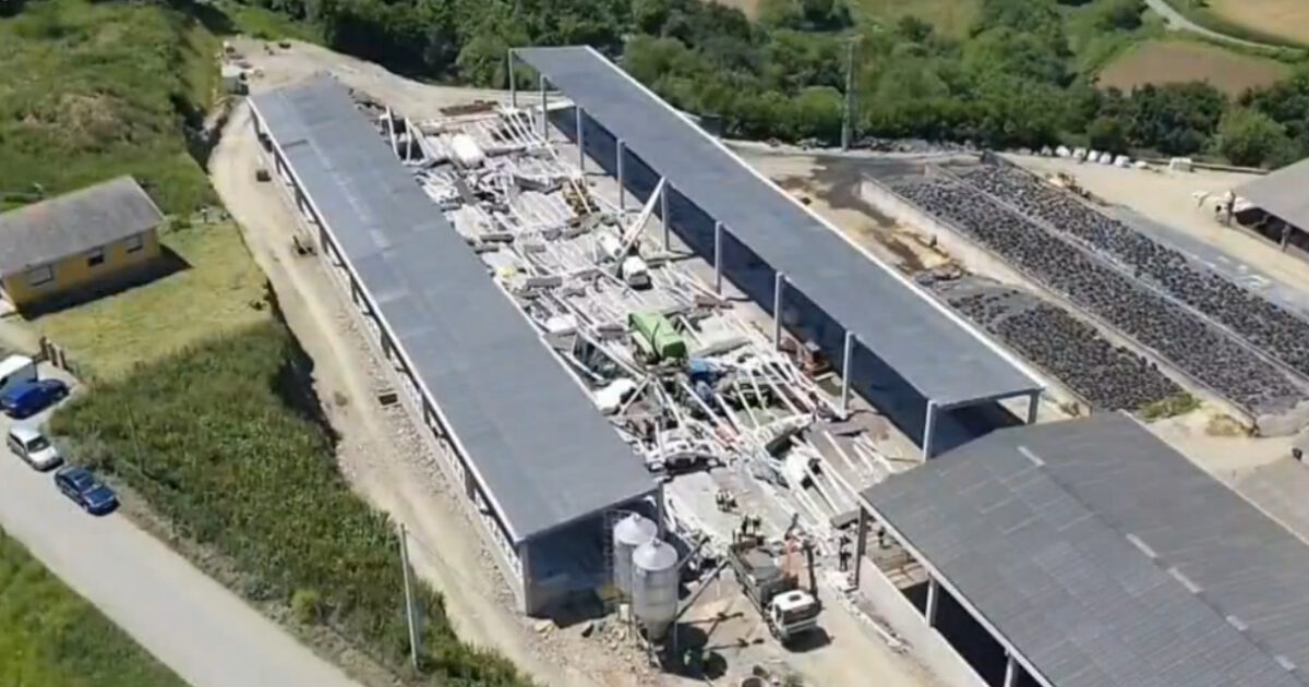 Spain: Three dead and three injured after a shed collapse in a livestock unit