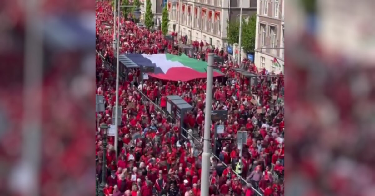 Hague: Over 100,000 protesters dressed in red protested about Gaza war