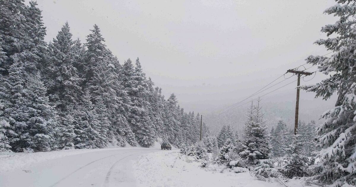 Switzerland: Five skiers were found dead in Mount Ribisorn in the Alps