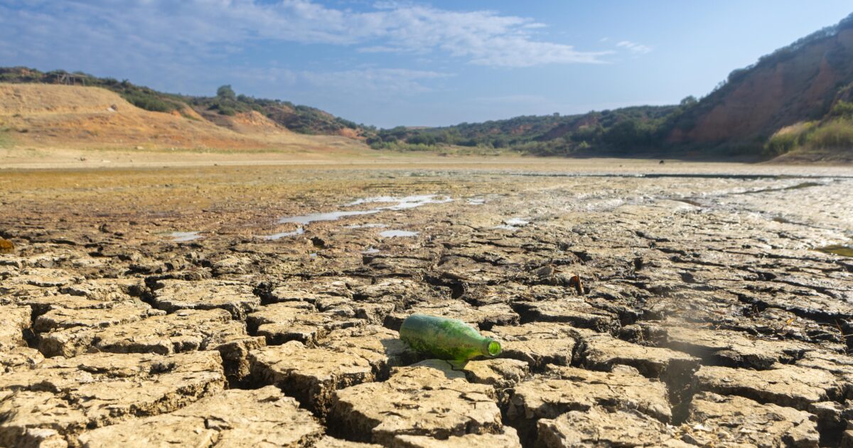 Climate Change: unprecedented drought in northern Europe – farmer in despair, praying for rain