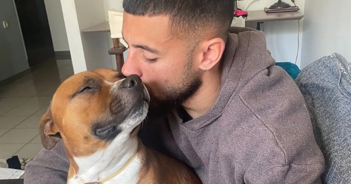 AEK’s Paulo Fernandes moves on his dog’s loss: you left me so fast but I will never forget you