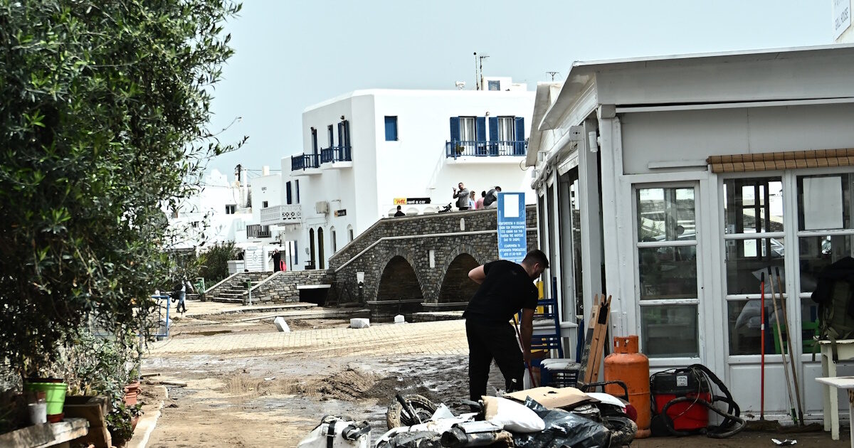 What does the JMD provide for compulsory business insurance for natural disasters
