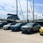 Renault_Dacia_Sales