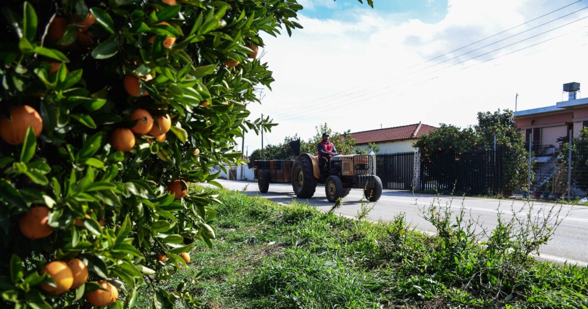 YPATA: At the center of farmers’ protection – aid and new climate crisis tools