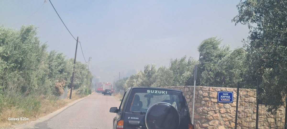 Φωτιά στην Ανάβυσσος