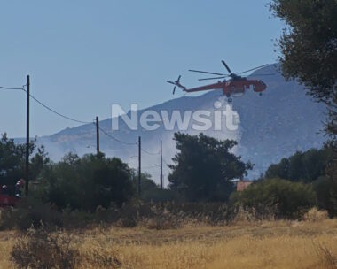 Φωτιά στην Ανάβυσσο