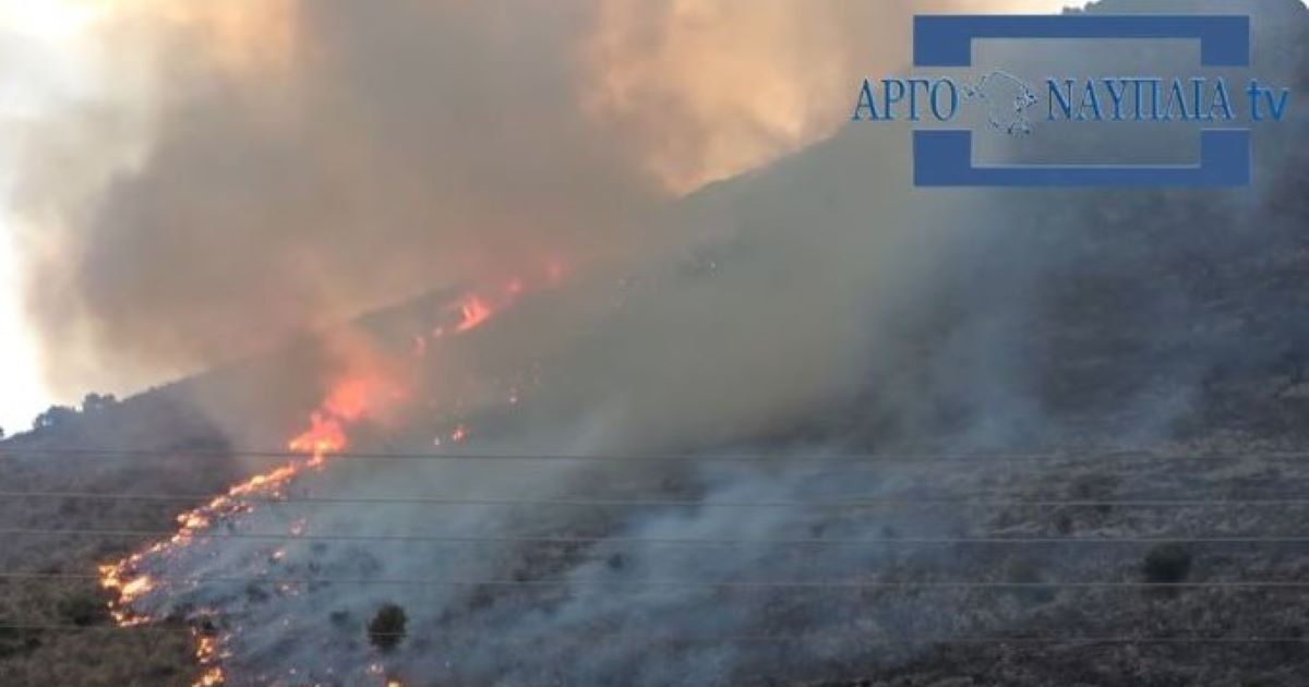 Φωτιά στην Αργολίδα στην περιοχή Άνω Καρνεζαίικα – Έξι εναέρια στο σημείο