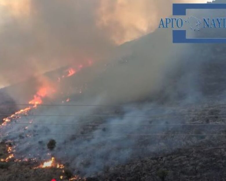 Φωτιά στην Αργολίδα στην περιοχή Άνω Καρνεζαίικα – Έξι εναέρια μέσα στο σημείο