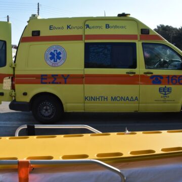 ΒΑΣΙΛΗΣ ΠΑΠΑΔΟΠΟΥΛΟΣ