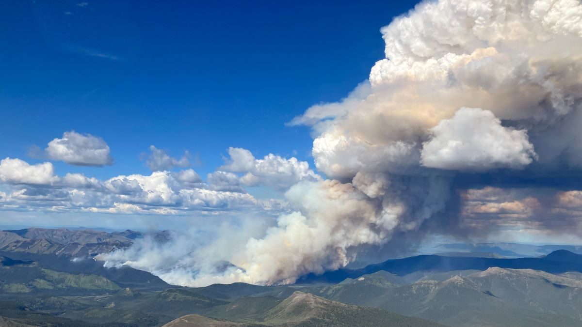 Πυκνοί καπνοί από τη φωτιά σε δασική έκταση στη Βρετανική Κολομβία στον Καναδά
