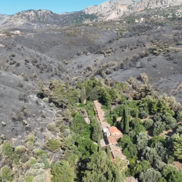 Καμένες περιοχές στη Χίο