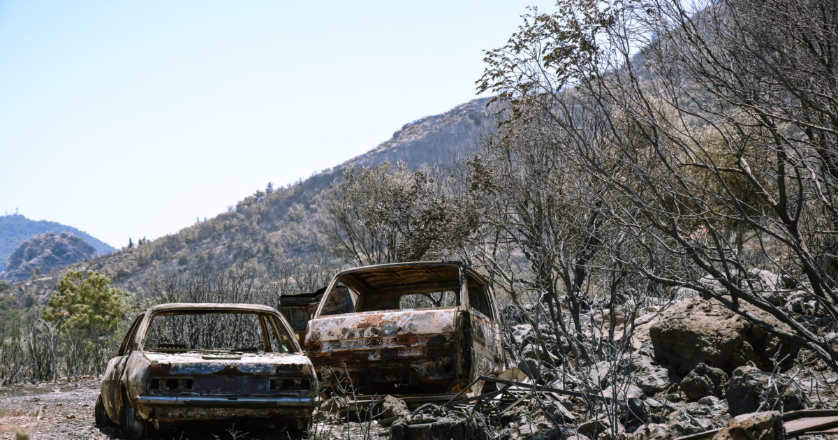 Fire in Chios: Great Revival on the mountain sheep