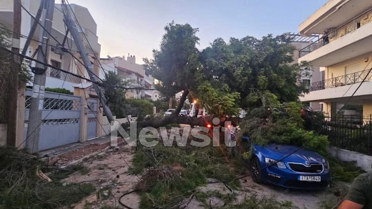Πτώση δέντρου στην Κηφισιά