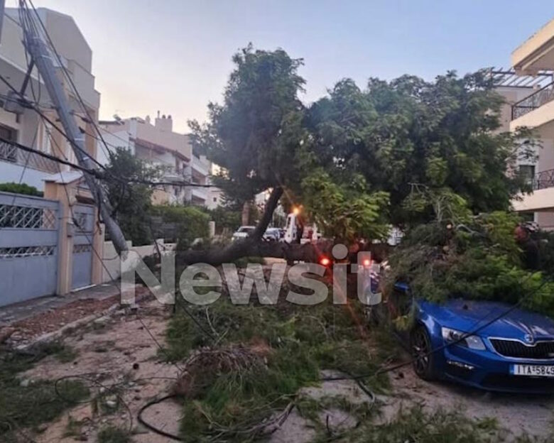 Δέντρο έπεσε πάνω σε αυτοκίνητα στην Κηφισιά – Παρέσυρε και καλώδια στη ΔΕΗ