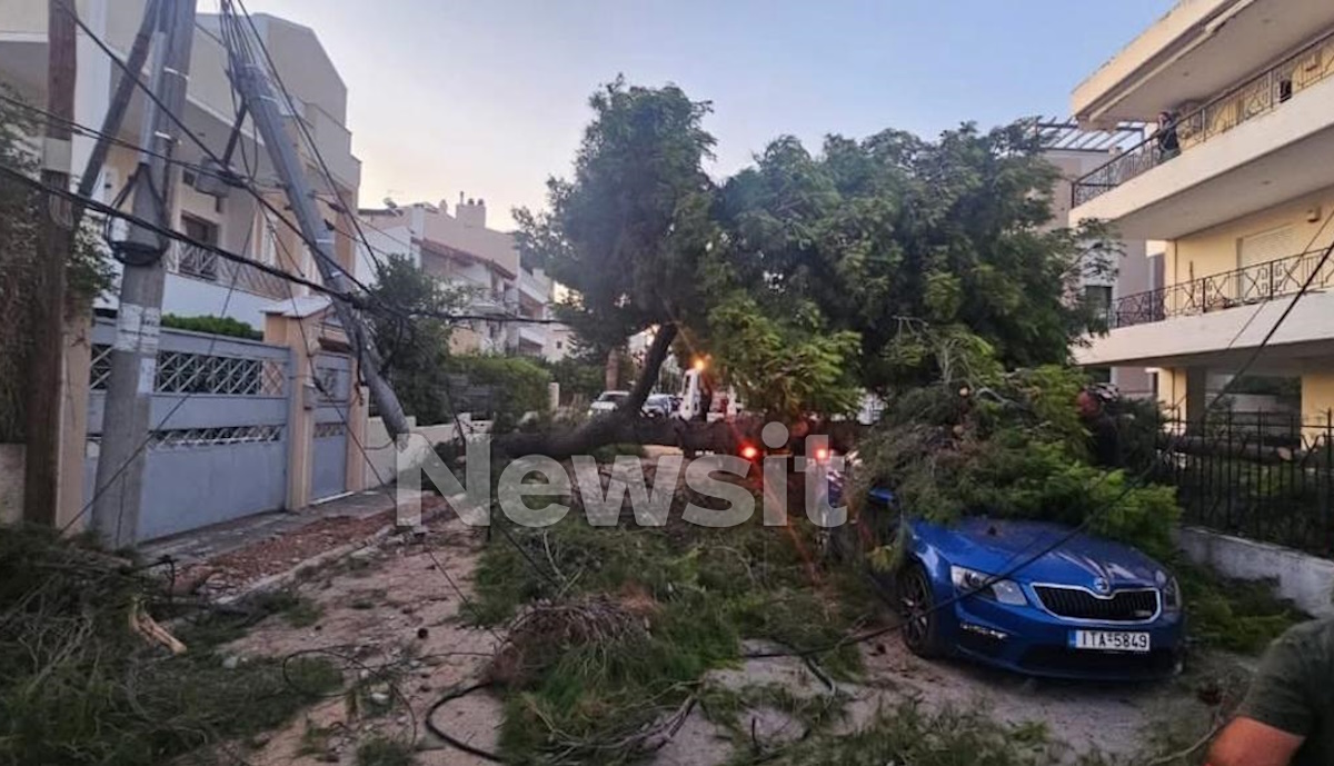 Πτώση δέντρου στην Κηφισιά
