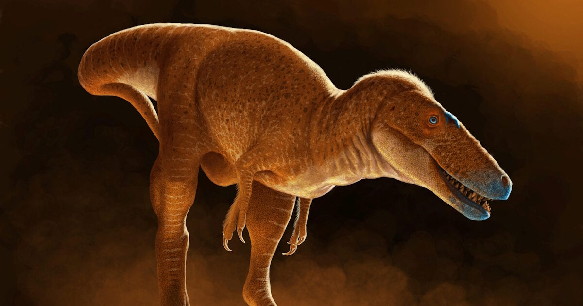 Relics of an unknown kind of dinosaur, T-Rex relative found in Mongolia