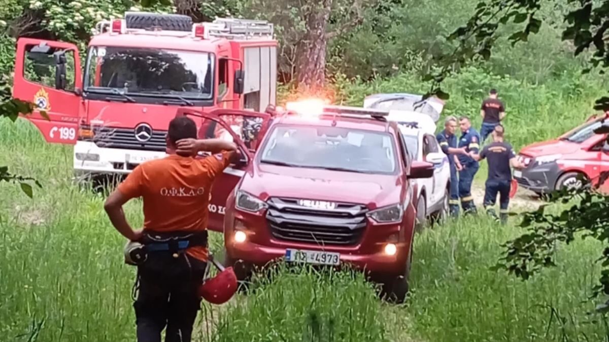 Θρίλερ με την επίθεση αρκούδας σε δυο ορειβάτες στη Δράμα