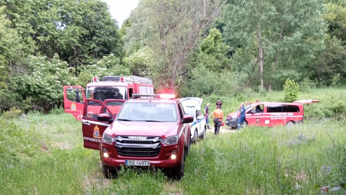 Σε εξέλιξη η επιχείρηση διάσωσης του ορειβάτη που δέχτηκε επίθεση από αρκούδα στη Δράμα