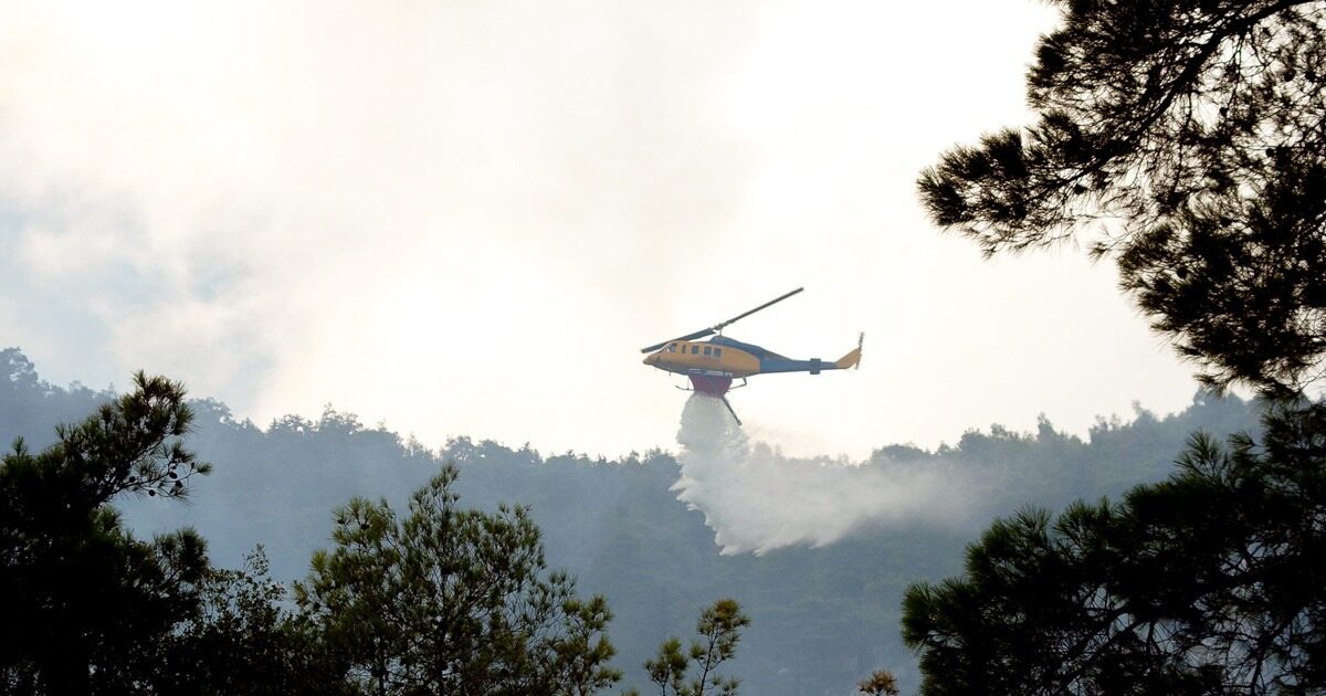 Thessaloniki: Three arrests for fires in Oreokastro and Chortiatis