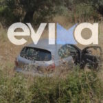 Εύβοια: Τροχαίο με αυτοκίνητο που εξετράπη της πορείας του και κατέληξε σε χωράφι