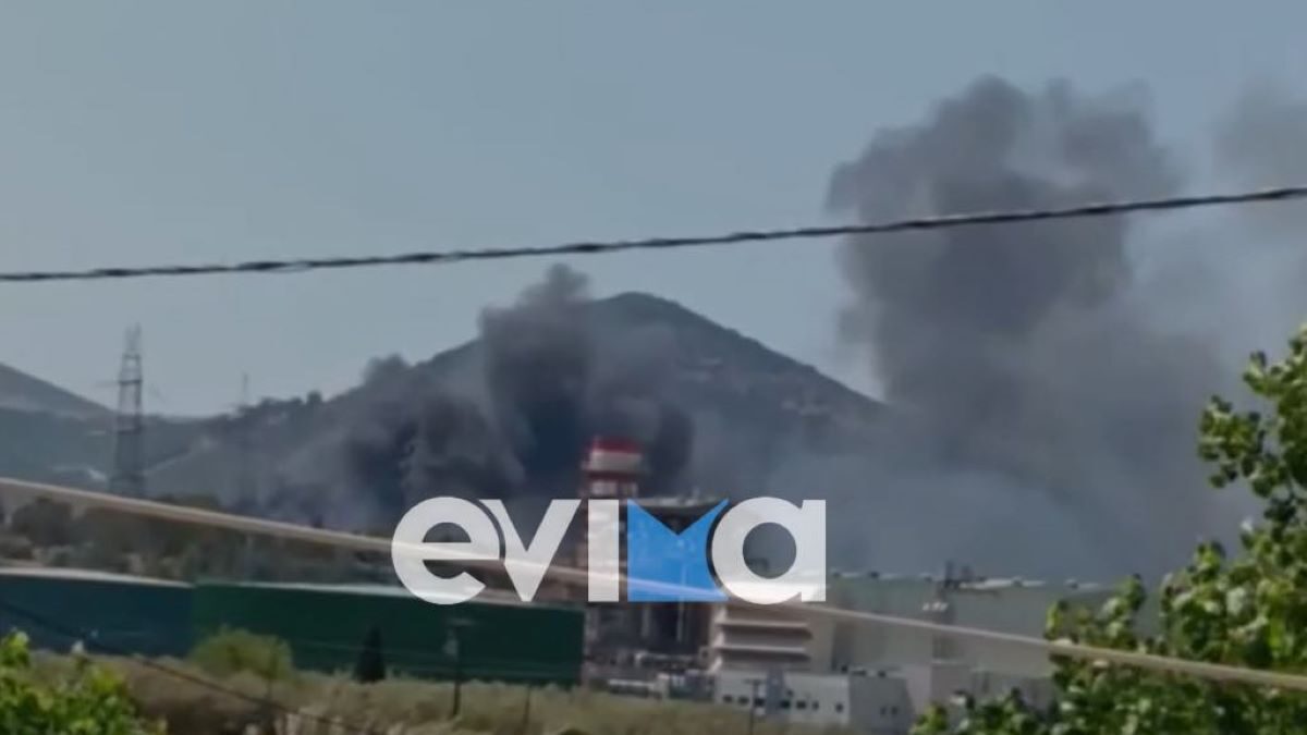 Φωτιά στην Εύβοια