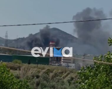 Φωτιά στην Εύβοια