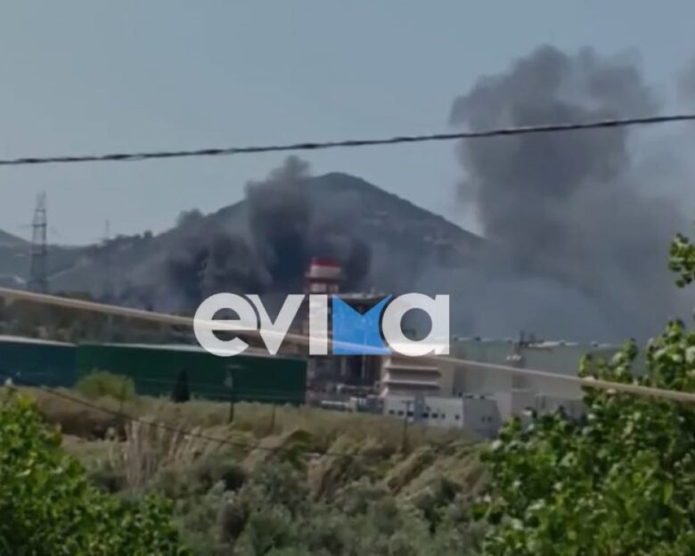 Φωτιά στην Εύβοια κοντά σε εργοστάσια