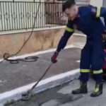 Ένας πυροσβέστης με ένα φίδι