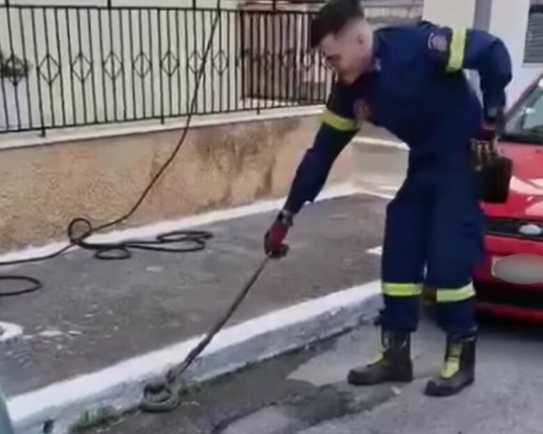 Σπάρτη: Φίδι κόβει «βόλτες» σε αυλή σπιτιού – Η στιγμή που πυροσβέστης το απομακρύνει από το σημείο