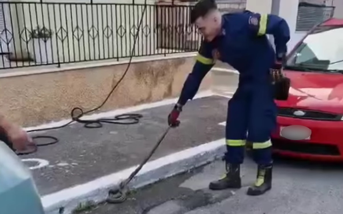 Ένας πυροσβέστης με ένα φίδι