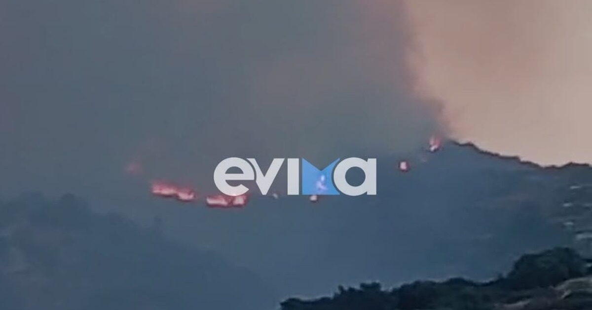 Euboea: Large fire in low vegetation in Karystos – Damaged hotel, sounded 112