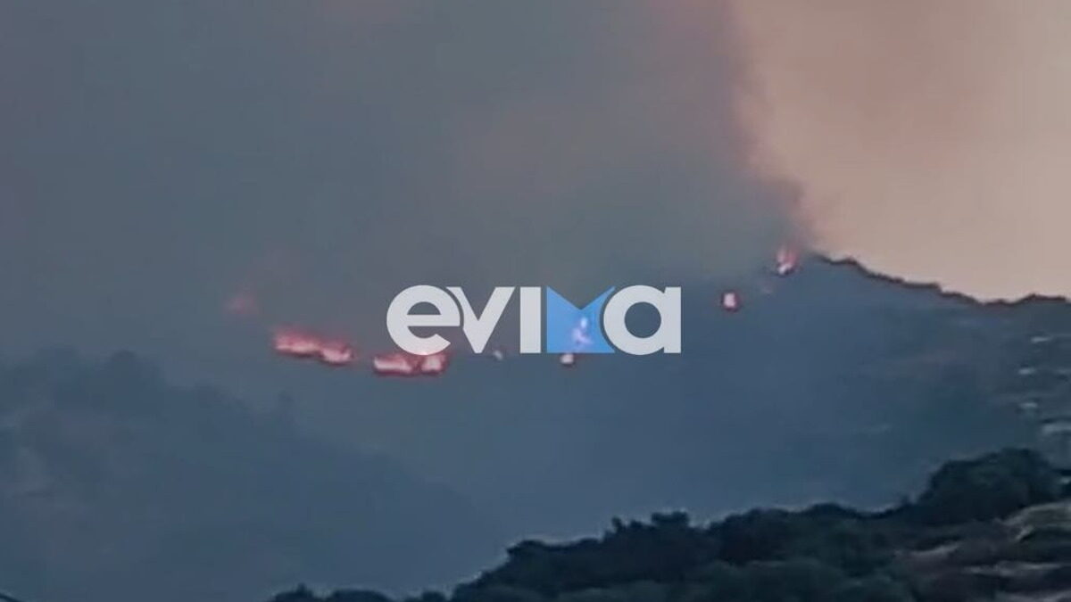 Φωτιά σε χαμηλή βλάστηση