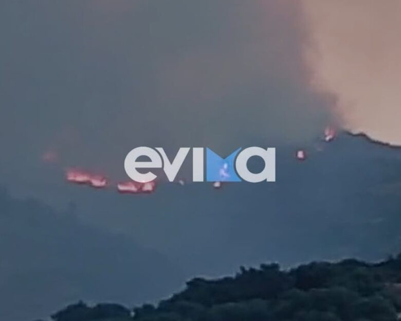 Εύβοια: Μεγάλη φωτιά σε χαμηλή βλάστηση στην Κάρυστο – Εκκενώθηκε ξενοδοχείο, ήχησε το 112